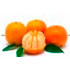 Naranjas Vicente