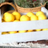 Cajas pomelos