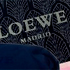 neceseres de Loewe