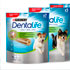 Dentalife