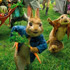 PeterRabbit cesta sorteo